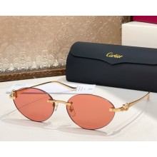 Cartier Sunglasses CT0504S-05 2025
