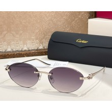 Cartier Sunglasses CT0504S-06 2025