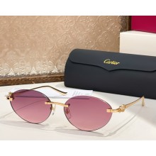 Cartier Sunglasses CT0504S-07 2025