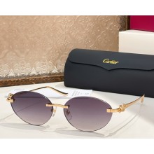 Cartier Sunglasses CT0504S-09 2025