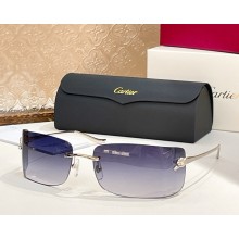 Cartier Sunglasses CT0503S-01 2025