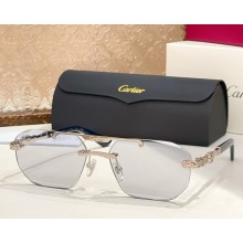 Cartier Sunglasses CT0616S-04 2025