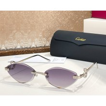 Cartier Sunglasses CT0655S-05 2025