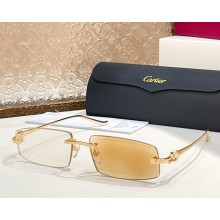 Cartier Sunglasses CT0505S-02 2025