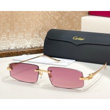 Cartier Sunglasses CT0505S-05 2025