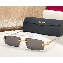 Cartier Sunglasses CT0505S-06 2025