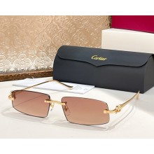 Cartier Sunglasses CT0505S-07 2025