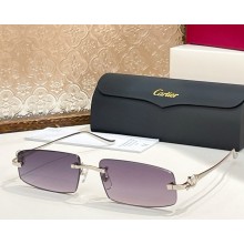 Cartier Sunglasses CT0505S-08 2025