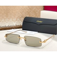 Cartier Sunglasses CT0505S-09 2025