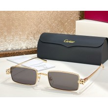 Cartier Sunglasses CT0473S-04 2025
