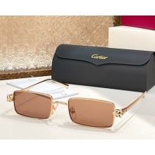 Cartier Sunglasses CT0473S-05 2025