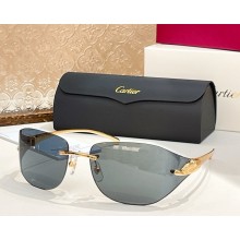Cartier Sunglasses CT0068S-04 2025