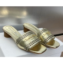 DIOR D-Lane Slide gold Calfskin with Openwork Microcannage Motif  heel 3.5cm 2025