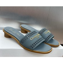DIOR D-Lane Slide blue Calfskin with Openwork Microcannage Motif  heel 3.5cm 2025
