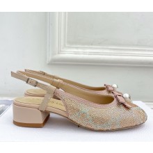 Dior Ballet Slingback Pump Lambskin with Strass light pink 2025