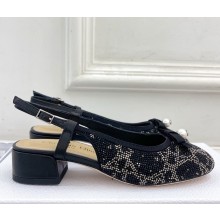 Dior Ballet Slingback Pump Lambskin with Strass black 2025