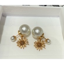 Dior Earrings 031813 2025