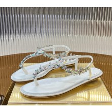 Rene Caovilla EDEN THONG SANDAL white 2025 