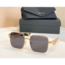Dolce & Gabbana Sunglasses DG2310 06 2025