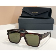 Dolce & Gabbana Sunglasses DG4431 02 2025