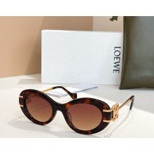 Loewe Sunglasses LW5019S 05 2025