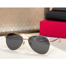 Valentino Sunglasses VLS-133E 07 2025