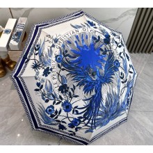 Dior Umbrella 050824 2025 