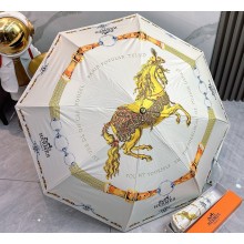 Hermes Umbrella 050801 2025 