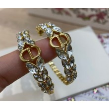 Dior 30 Montaigne Earrings 052310 2025