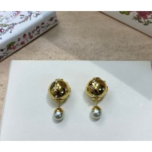 Dior Earrings 052313 2025