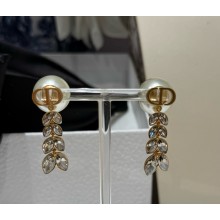 Dior tribales Earrings 052309 2025