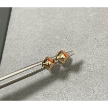 Hermes Earrings 052419 2025 
