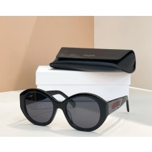 Celine Sunglasses CL4240IS 01 2025