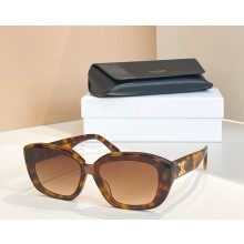 Celine Sunglasses CL42125U 05 2025