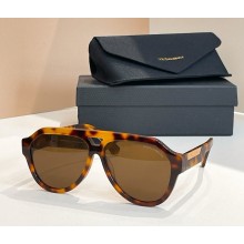 Dolce & Gabbana Sunglasses DG4466 04 2025