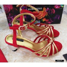 Dolce & Gabbana Spherical Acrylic Heel 6.5cm Suede Sandals Red 2021