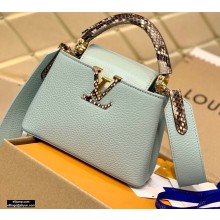 Louis Vuitton Capucines Mini Bag Python Handle M55922 Pale Green