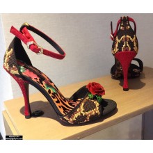 Dolce & Gabbana Rose Sandals Red 2021