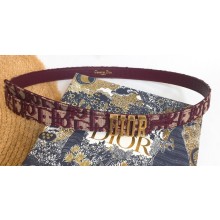 Dior Width 2cm Belt D73