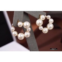 Celine Earrings C102