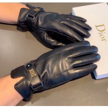 Dior Gloves D01 2022