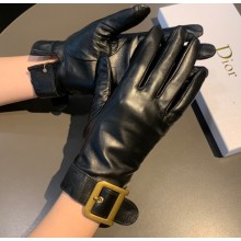 Dior Gloves D04 2022