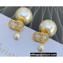 Dior Earrings 09 2022