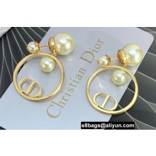 Dior Earrings 19 2022