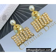 Dior Earrings 21 2022