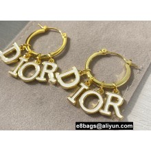 Dior Earrings 05 2022