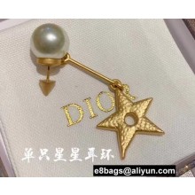 Dior Earrings 34 2022