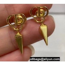 Dior Earrings 35 2022