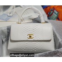 Chanel Python Coco Handle Medium Flap Bag with Top Handle 06