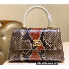 Chanel Python Coco Handle Small Flap Bag with Top Handle 01